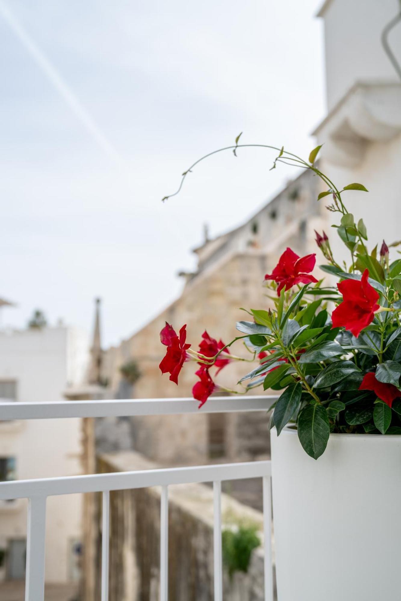 Innesto Rooms - Monopoli Dış mekan fotoğraf